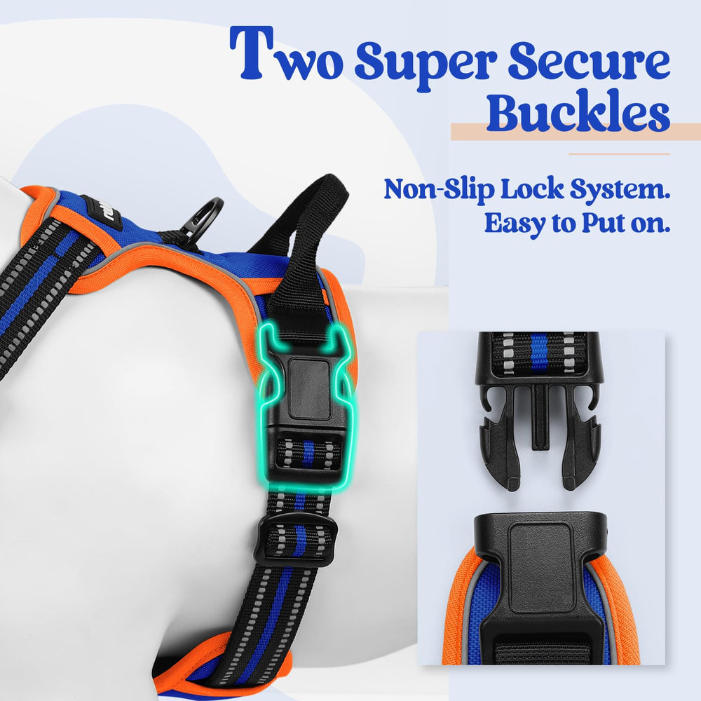 rabbitgoo dog harness shown in use with a leash attached to the front clip.