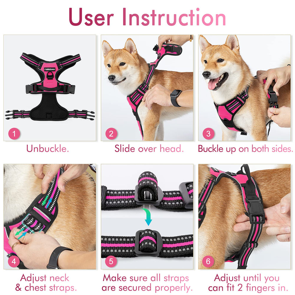 rabbitgoo dog harness shown attached by the front clip during a walk.