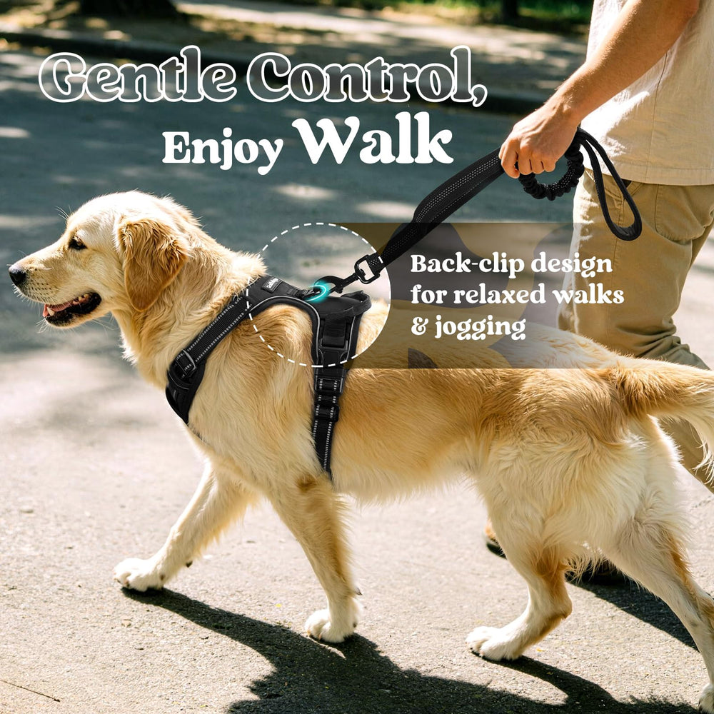 Close-up of the front leash clip on the rabbitgoo dog harness.