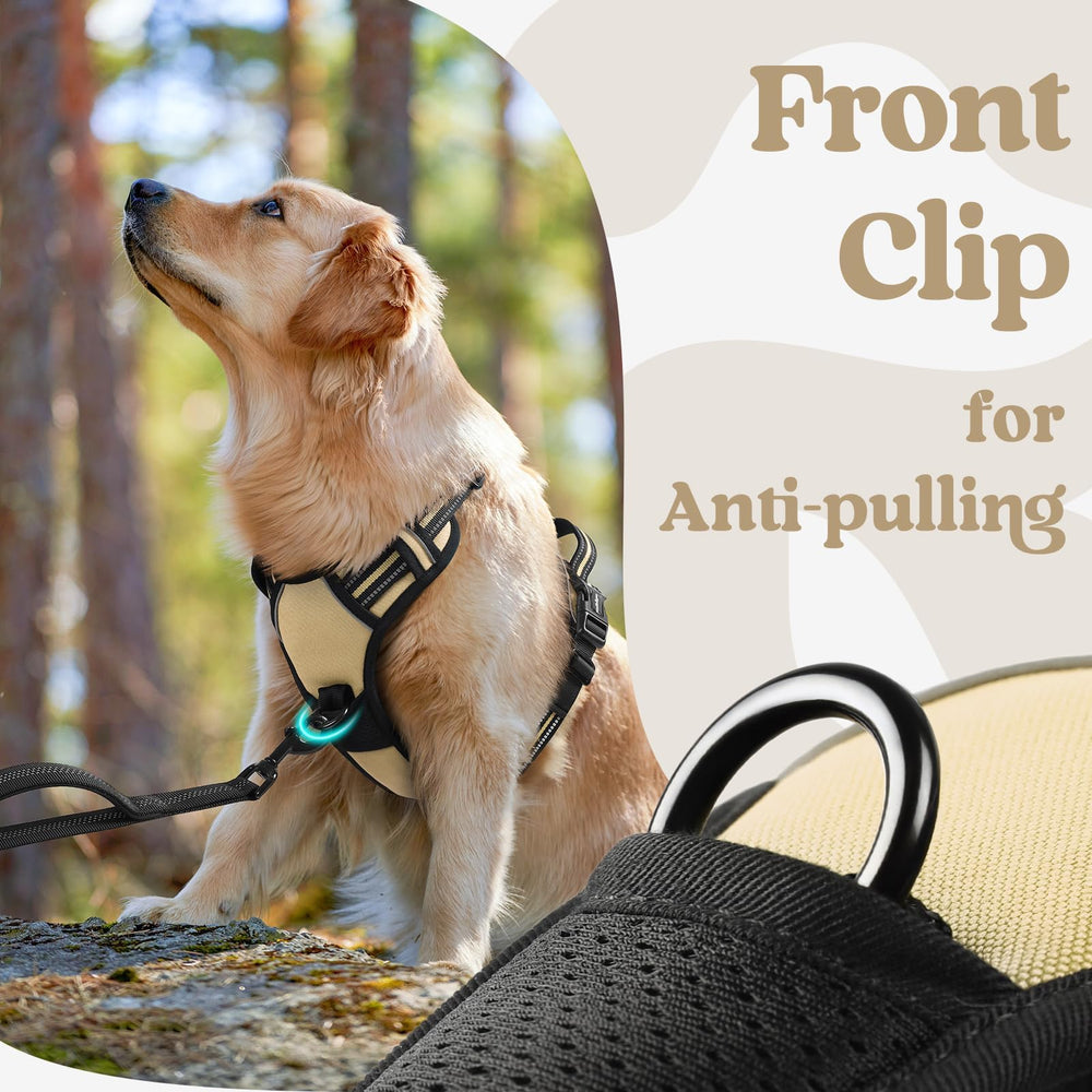 rabbitgoo Dog Harness close-up of the front leash clip.