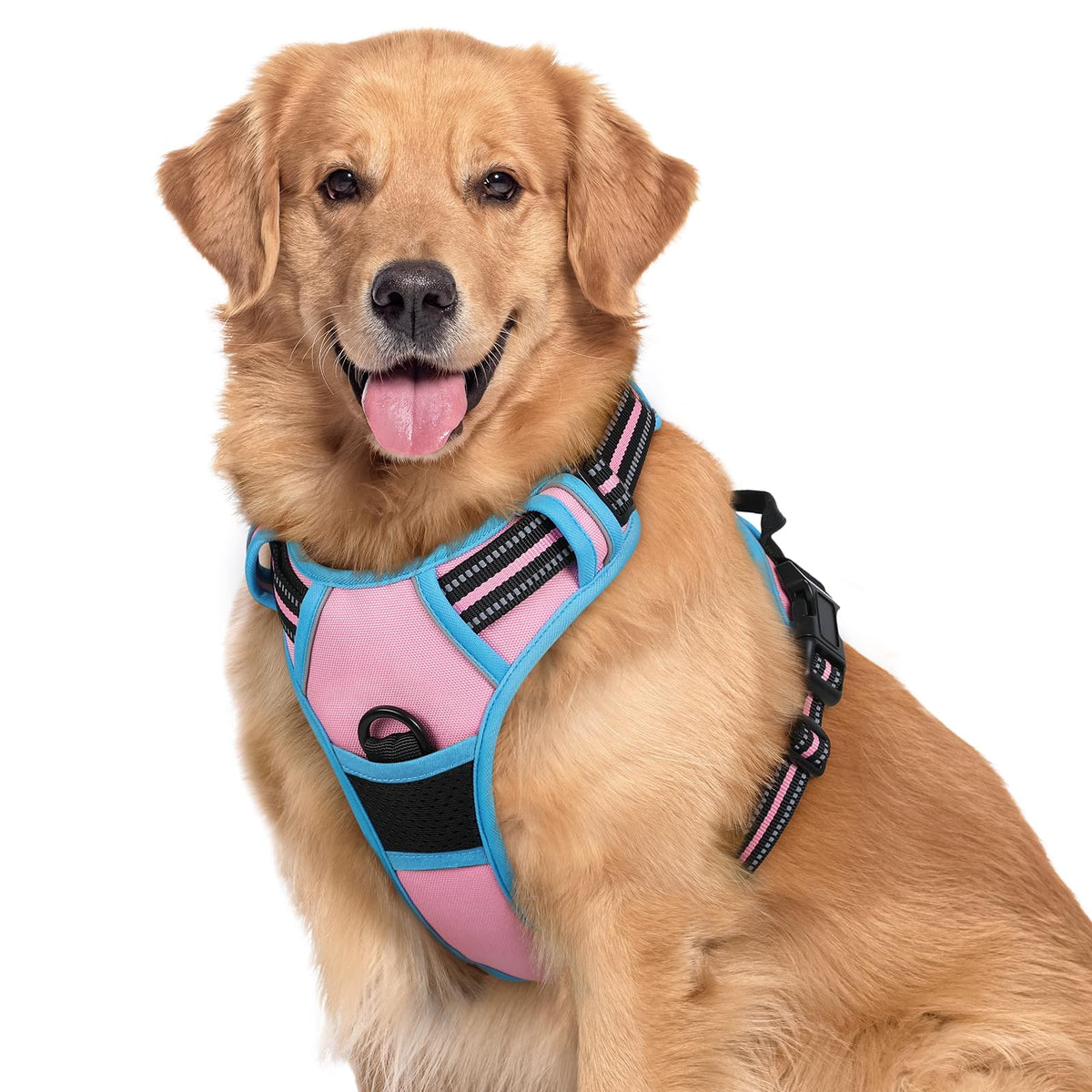 rabbitgoo Dog Harness shown from the front as a vest-style harness.