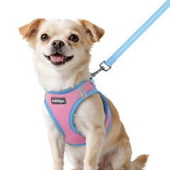 rabbitgoo dog harness shown from the front as a step-in vest.