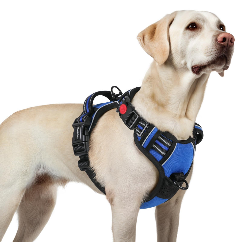 rabbitgoo Dog Harness shown from the front.