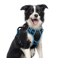 rabbitgoo dog harness shown from the front to display its overall vest design