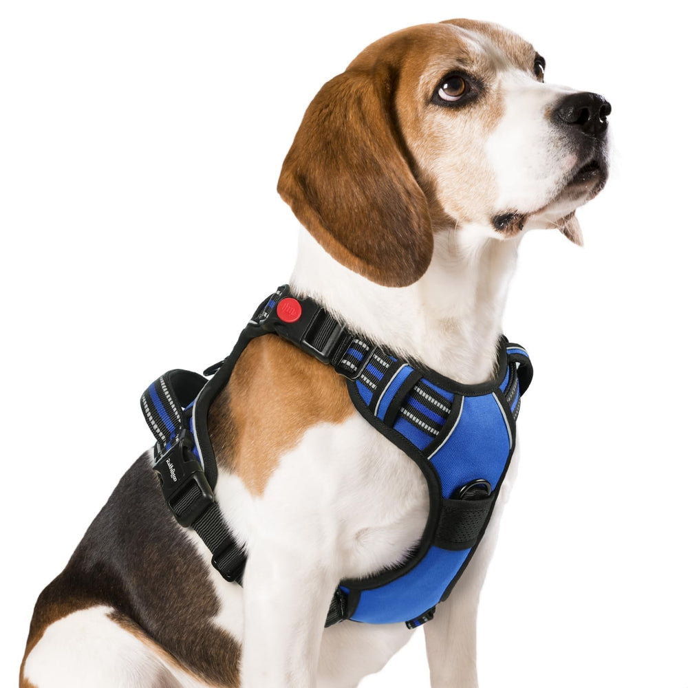 rabbitgoo dog harness shown from the front with its overall design visible.