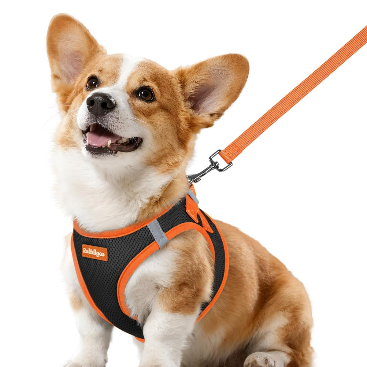 rabbitgoo dog harness shown from the front as a step-in vest.