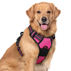 rabbitgoo dog harness shown from the front.