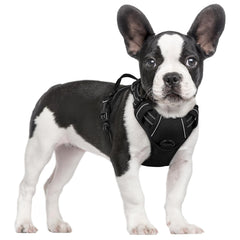 Front view of the rabbitgoo dog harness vest.