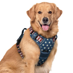 rabbitgoo Dog Harness shown from the front as a vest-style harness.