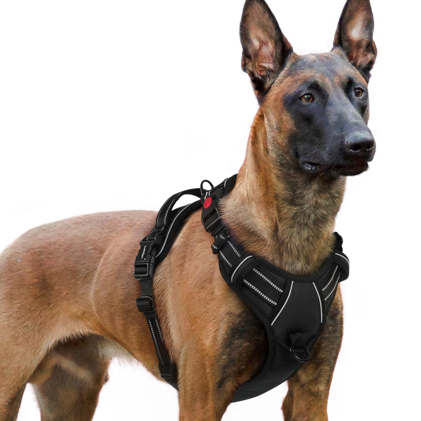 rabbitgoo Dog Harness shown from the front, highlighting its overall design.
