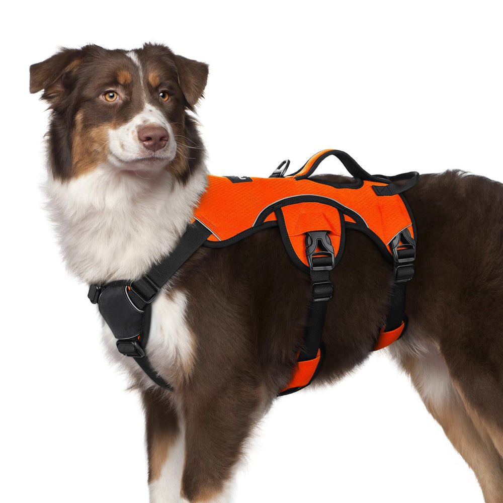 rabbitgoo dog harness shown from the front to display its overall design.