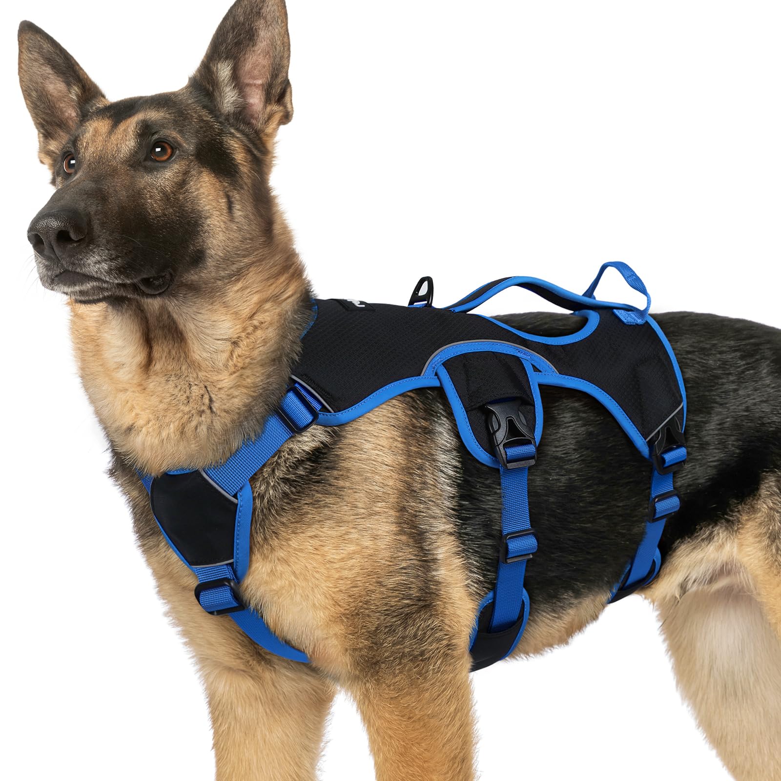 rabbitgoo dog harness shown from the front.