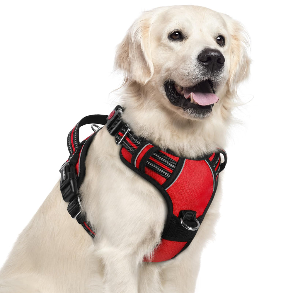 rabbitgoo dog harness shown from the front.