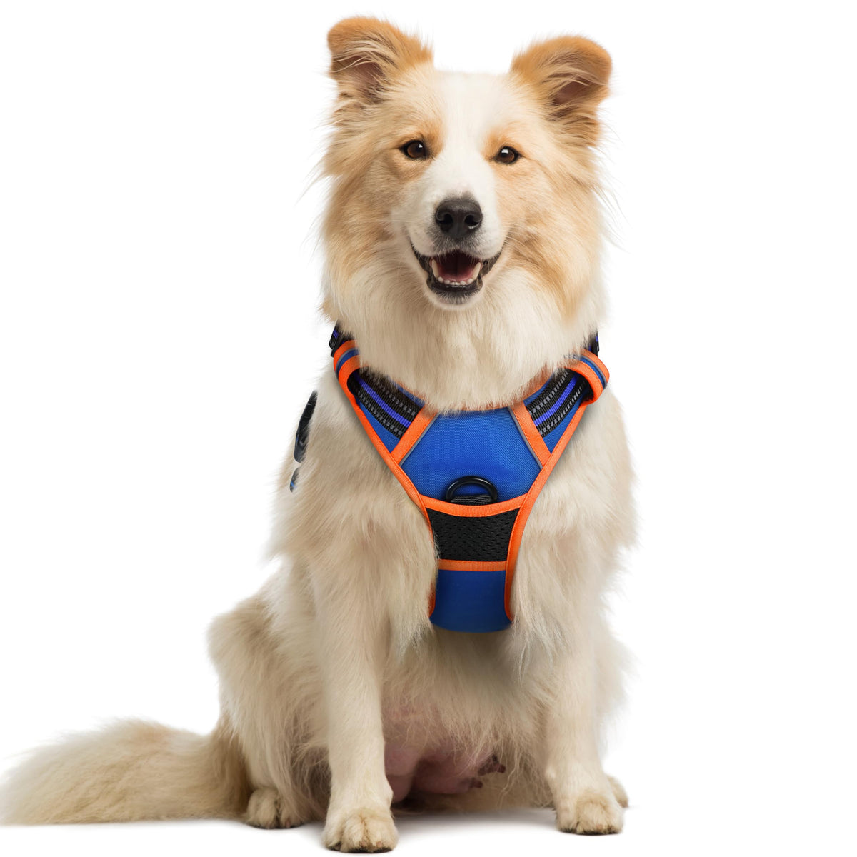 rabbitgoo dog harness shown from the front to display its vest design.