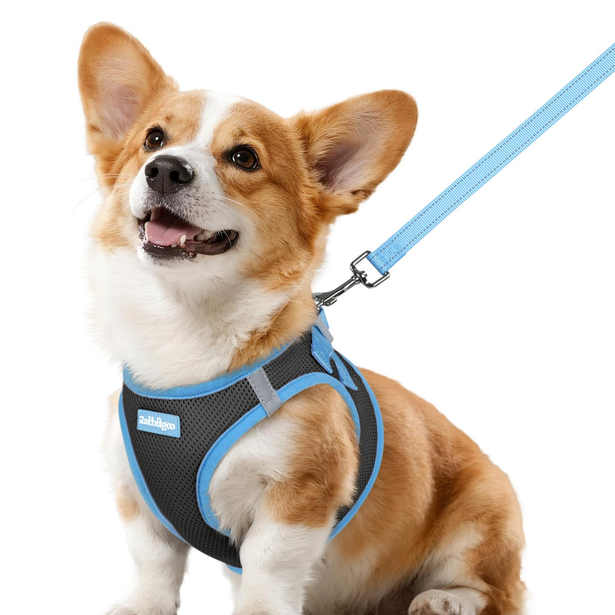 rabbitgoo dog harness shown from the front as a step-in vest.
