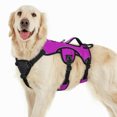 rabbitgoo dog harness shown from the front with its overall design visible.
