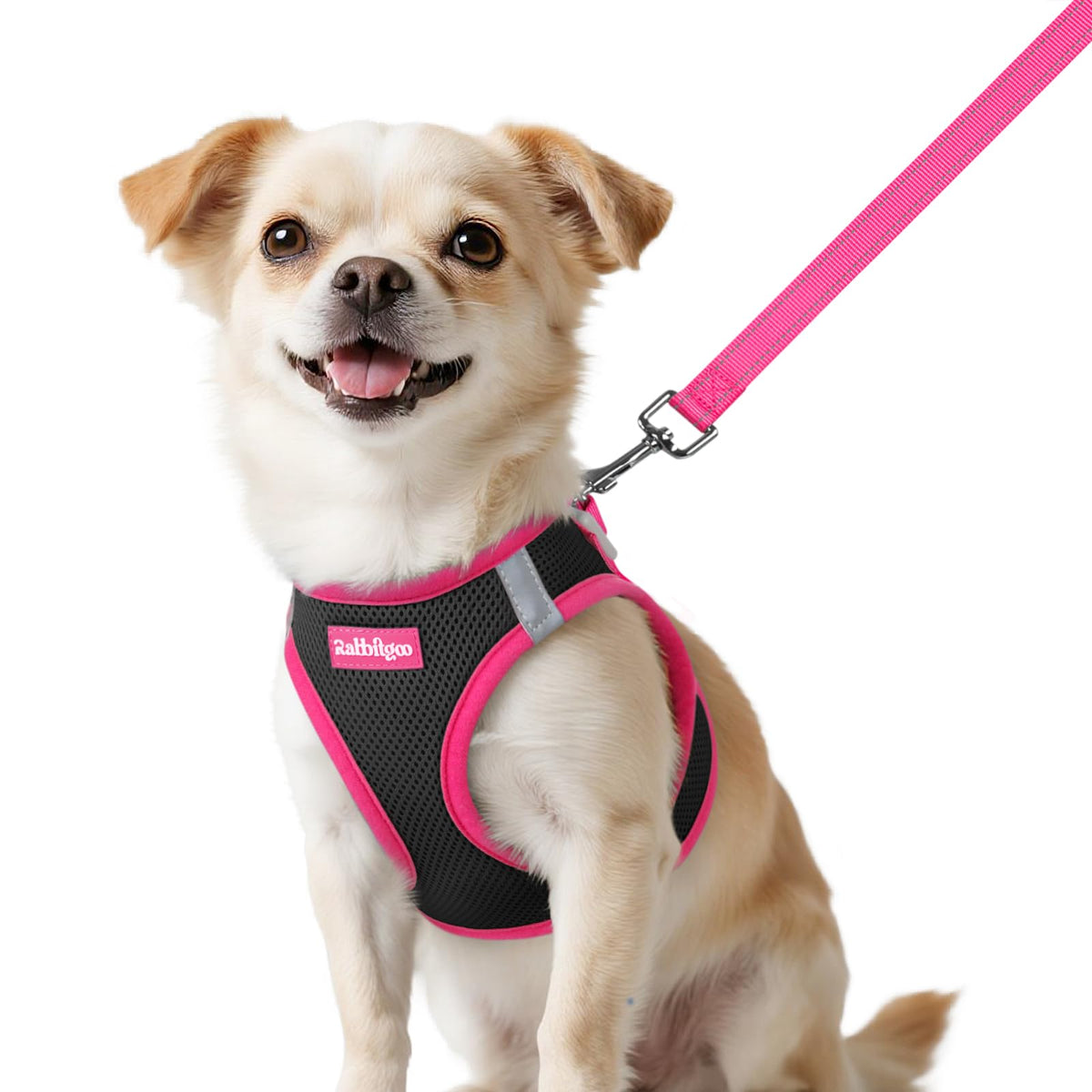 rabbitgoo small dog harness shown from the front as a soft step-in vest.