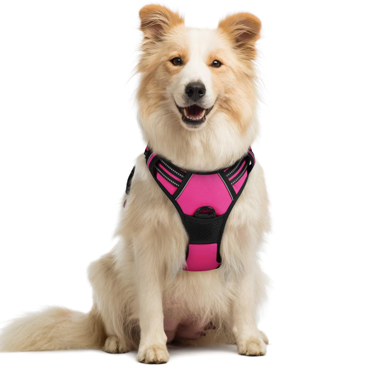 rabbitgoo dog harness shown from the front as a vest-style walking harness.
