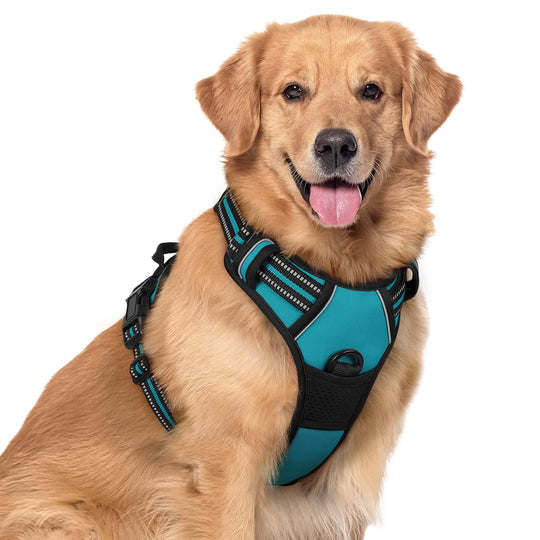 rabbitgoo dog harness shown from the front as a vest for large dogs.