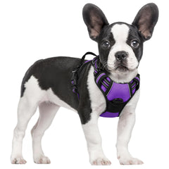 rabbitgoo Dog Harness shown from the front as a vest-style harness for small dogs.