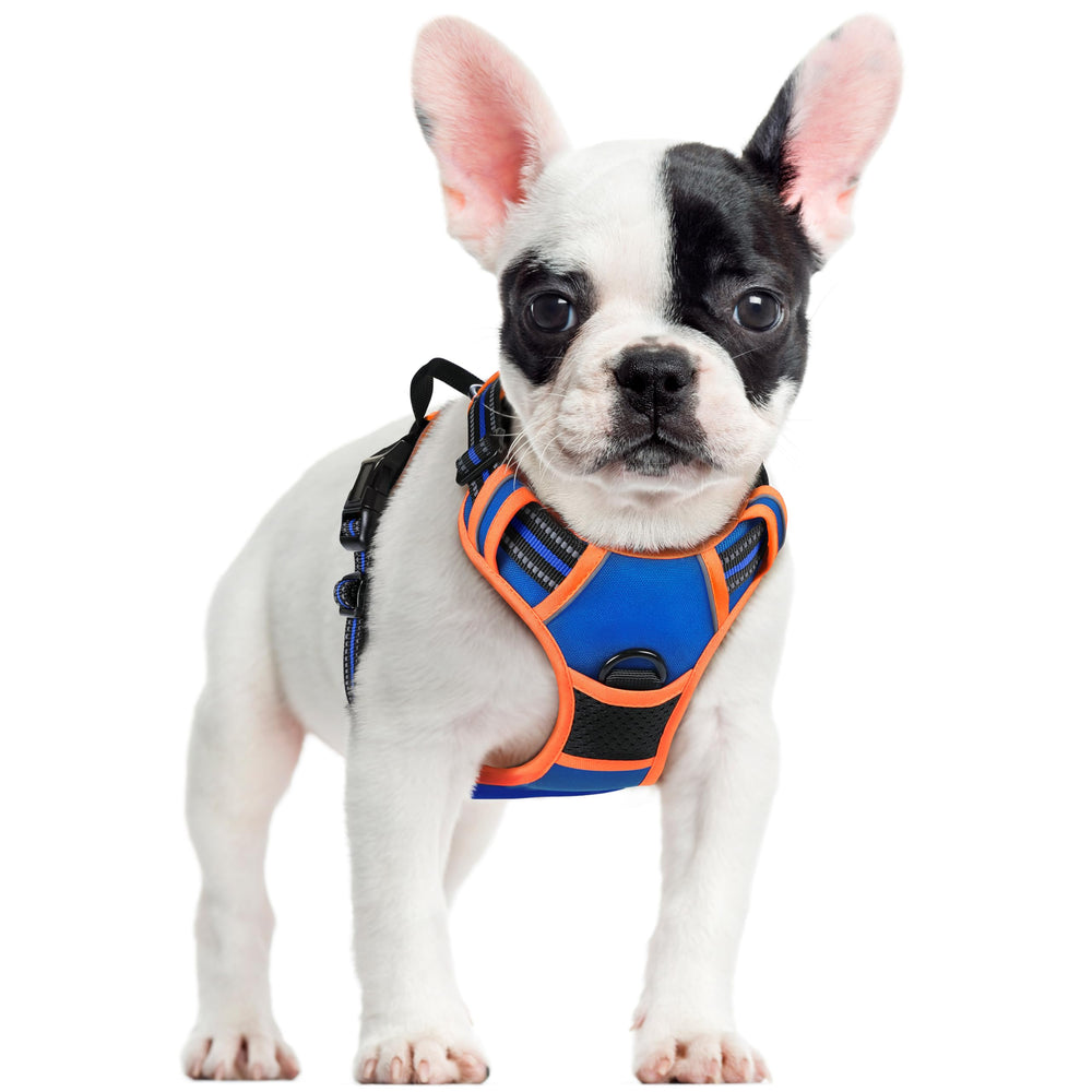 rabbitgoo dog harness shown from the front as a vest for small dogs.