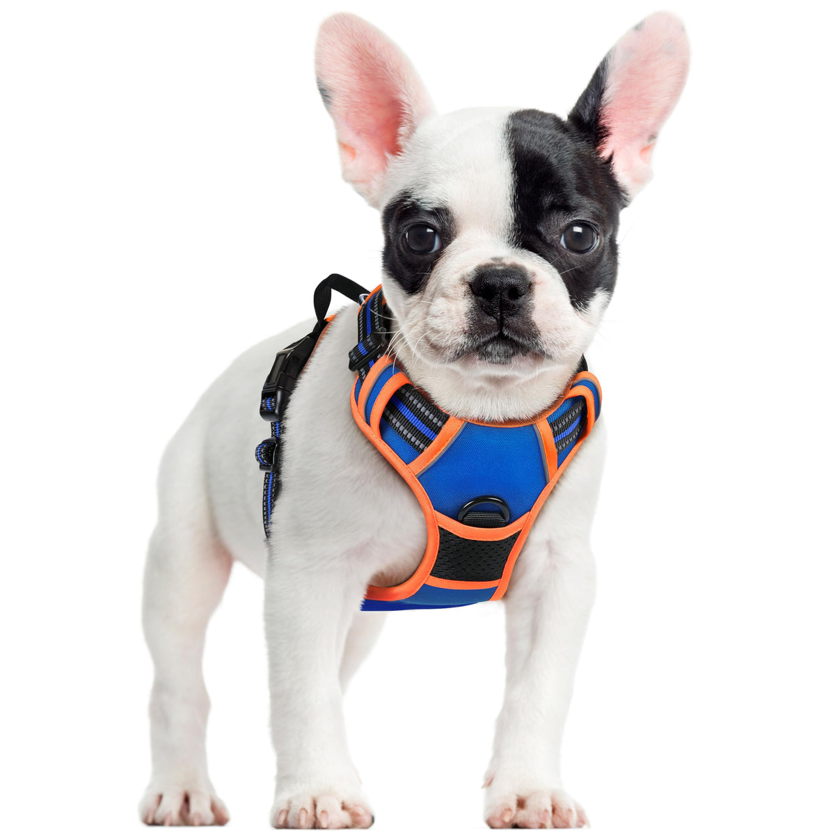 rabbitgoo dog harness shown from the front as a vest for small dogs.