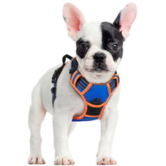 rabbitgoo dog harness shown from the front as a vest for small dogs.