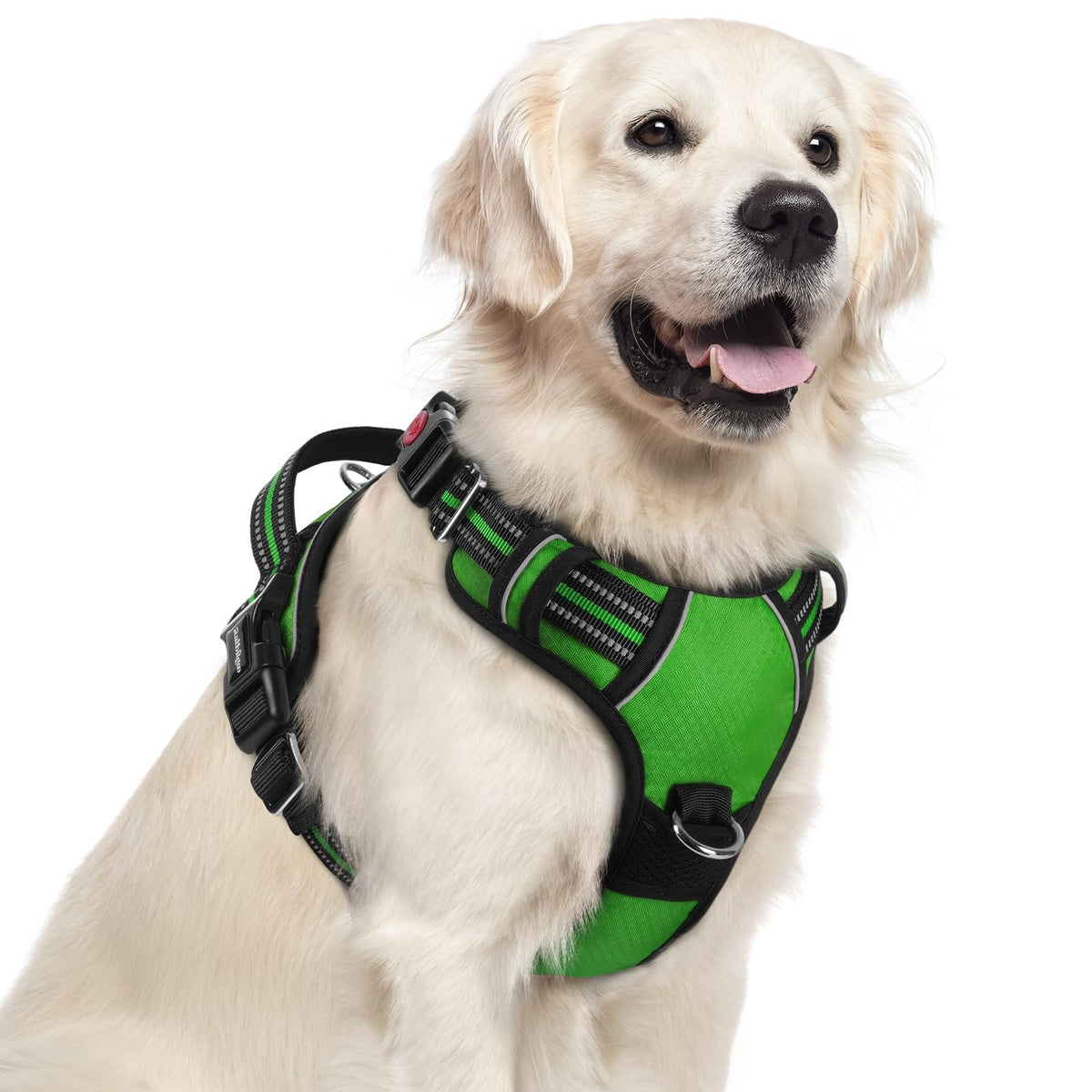 rabbitgoo dog harness shown from the front to display its vest design.