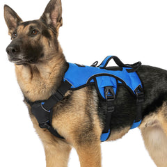 rabbitgoo dog harness shown from the front with its chest and belly straps.