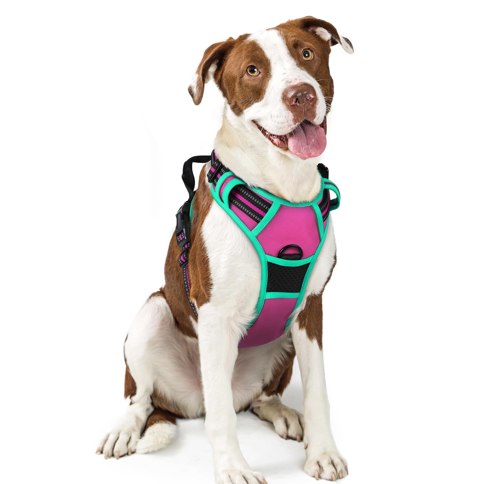 rabbitgoo dog harness shown from the front as a vest for large dogs.