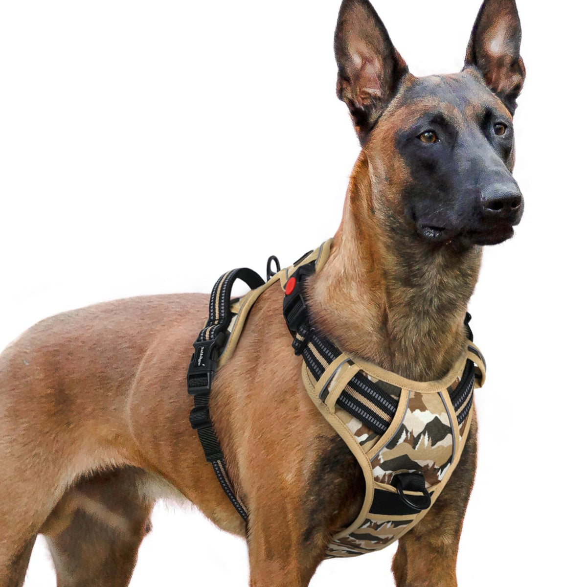 rabbitgoo Dog Harness for Large shown from the front.