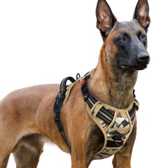 rabbitgoo Dog Harness for Large shown from the front.