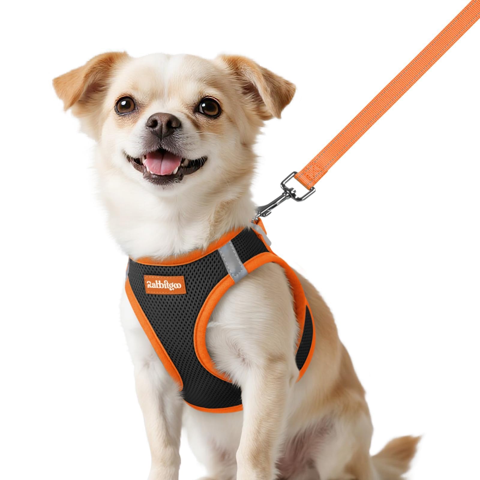 rabbitgoo dog harness shown from the front to display its soft vest shape.