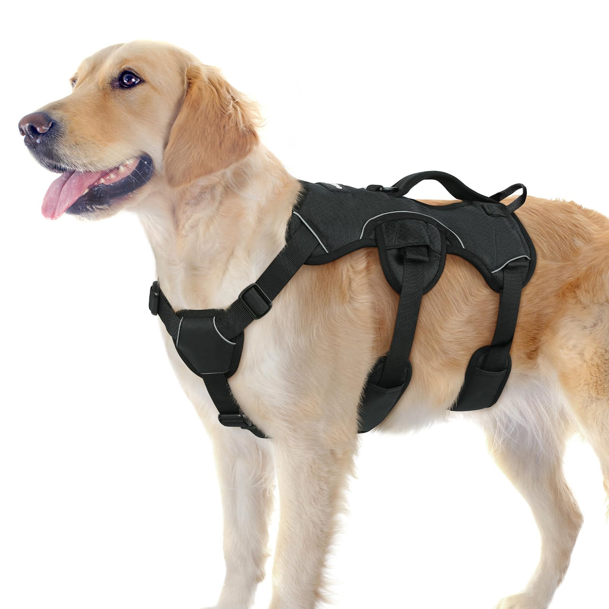Front view of the rabbitgoo dog harness showing its overall design.