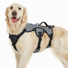rabbitgoo dog harness shown from the front, highlighting its overall design.