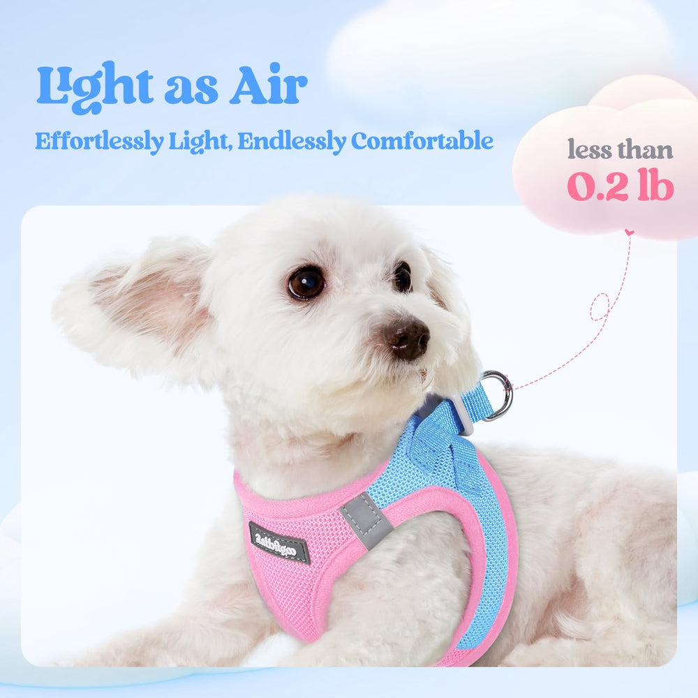 rabbitgoo dog harness close-up of its adjustable hook-and-loop closure.