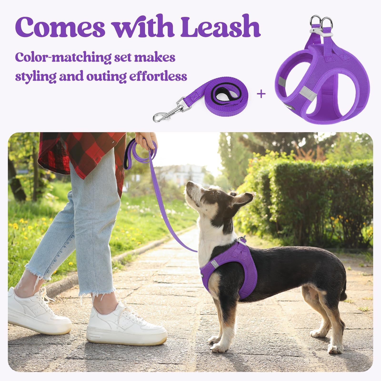 rabbitgoo dog harness close-up showing the adjustable hook-and-loop fastening.