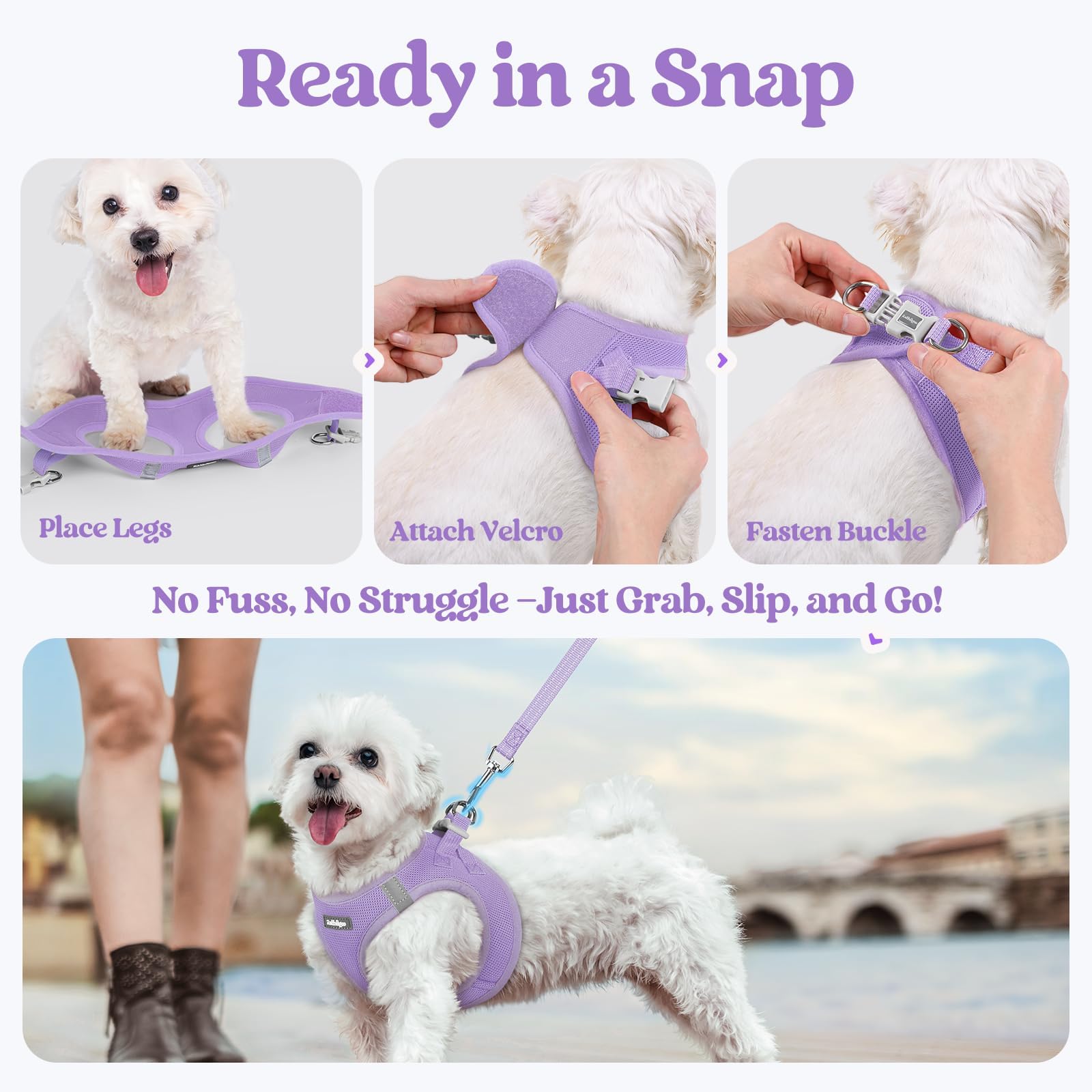 rabbitgoo dog harness leash shown with its anti-tangle clip