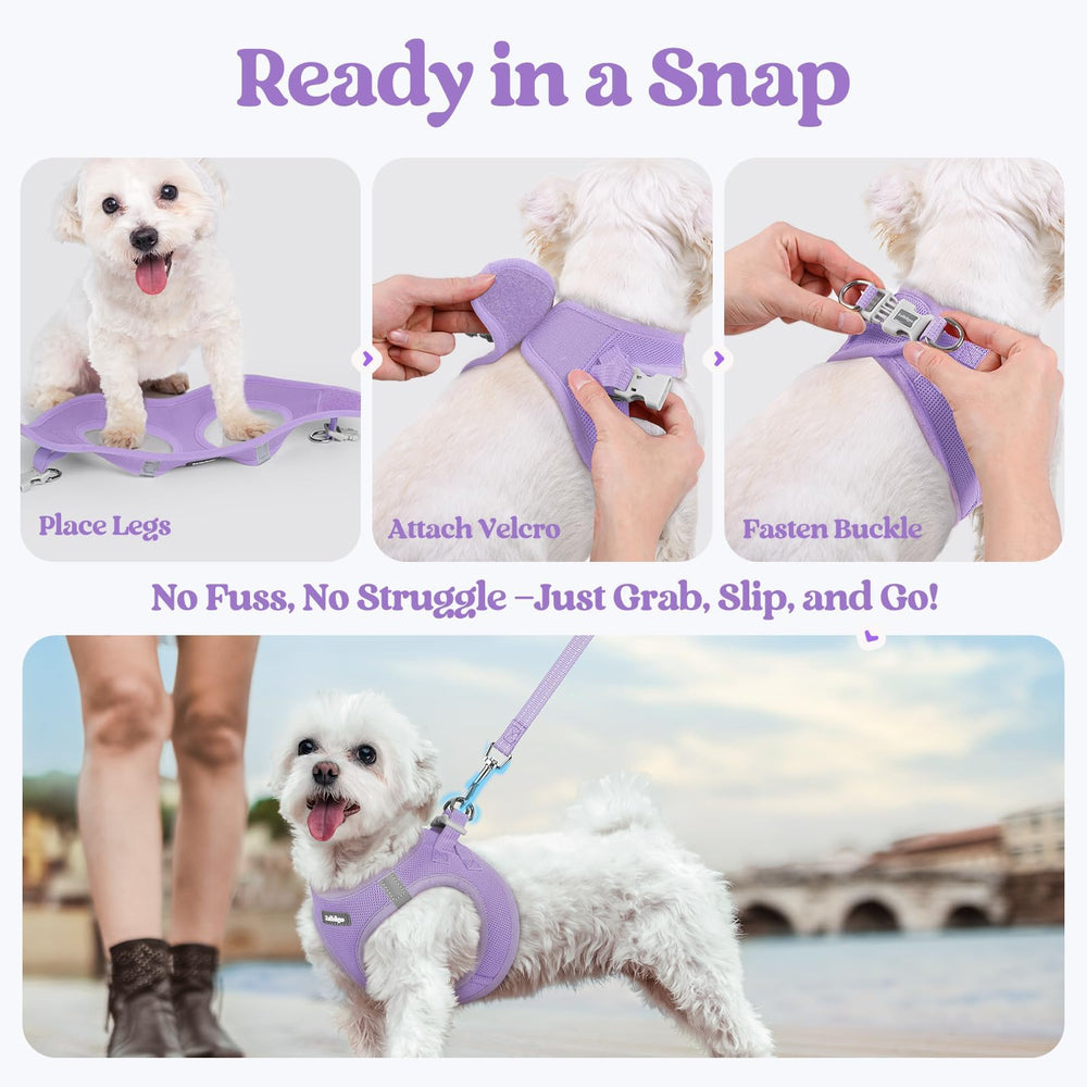 rabbitgoo dog harness leash shown with its anti-tangle clip