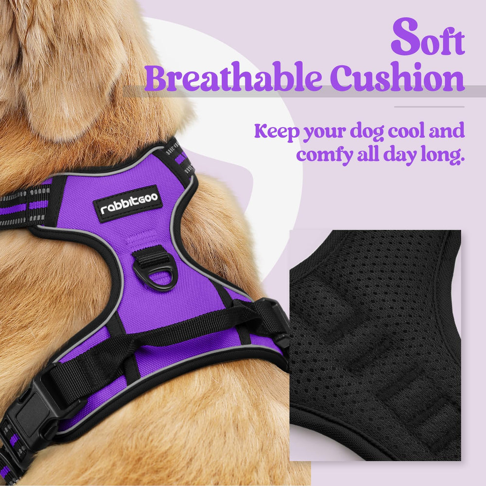 rabbitgoo Dog Harness close-up showing its two metal leash attachment clips.