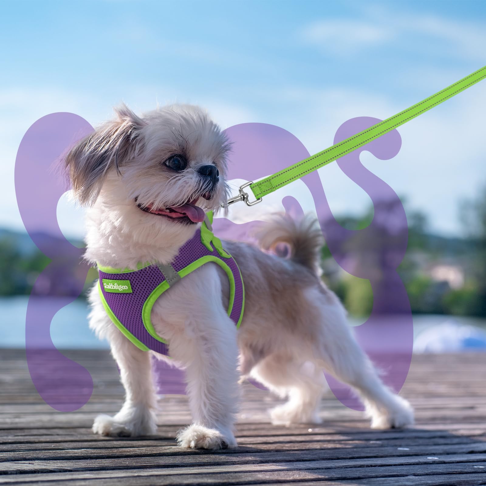 rabbitgoo dog harness matching leash shown with its cushioned handle