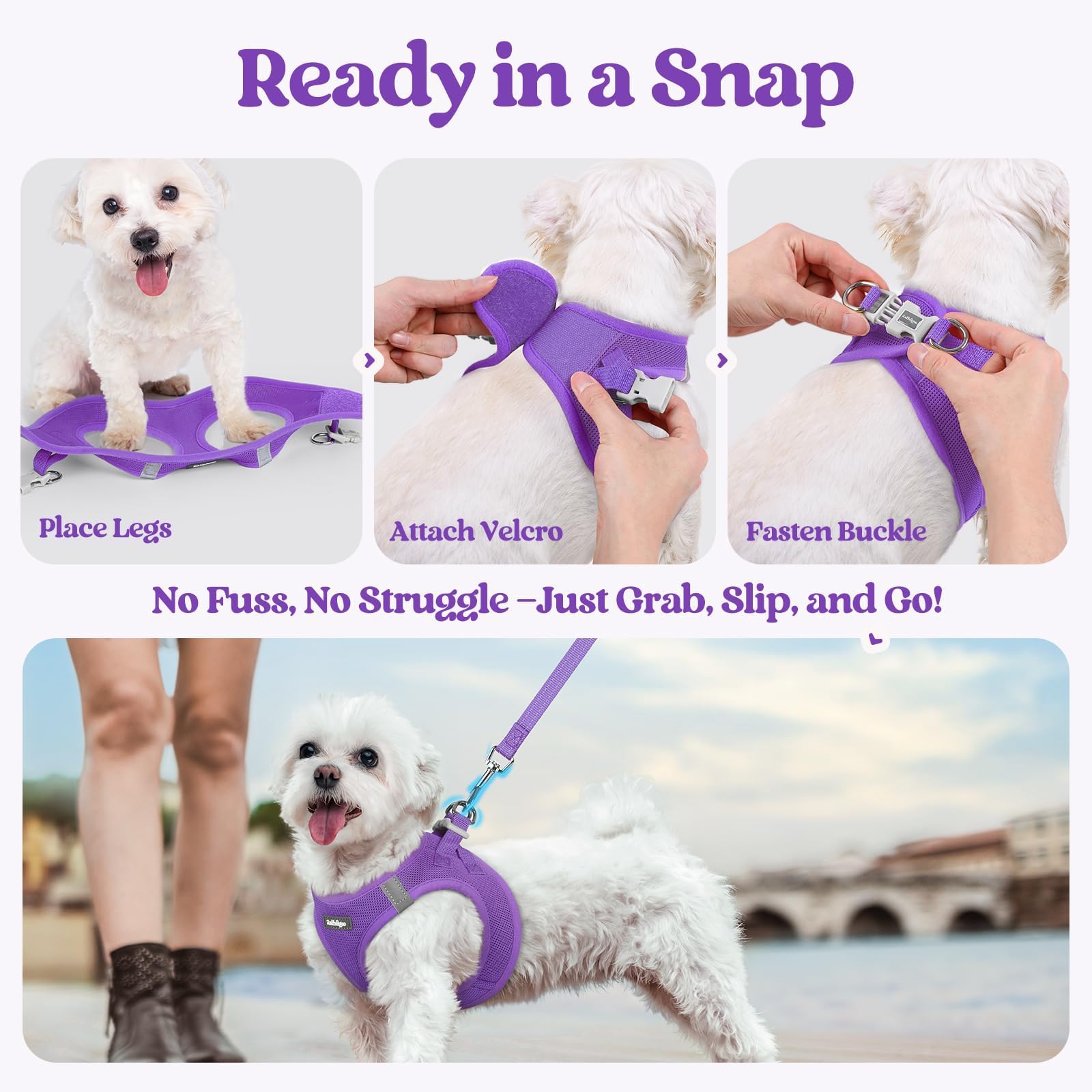 rabbitgoo dog harness set leash with its palm-padded handle.