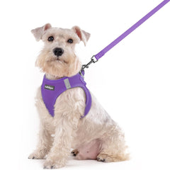 rabbitgoo dog harness and leash set shown from the front.