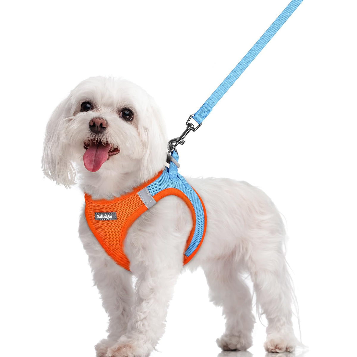 rabbitgoo dog harness and leash set shown from the front