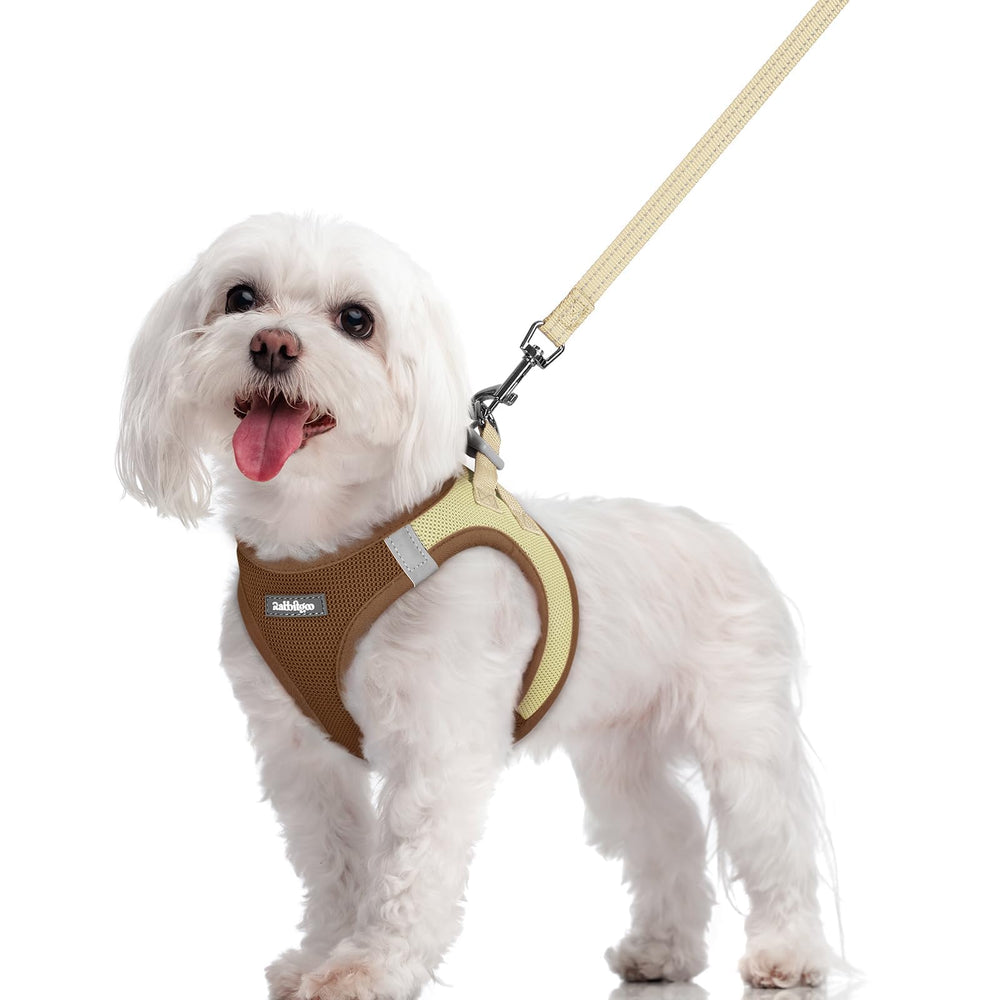 rabbitgoo dog harness and leash set shown together from the front