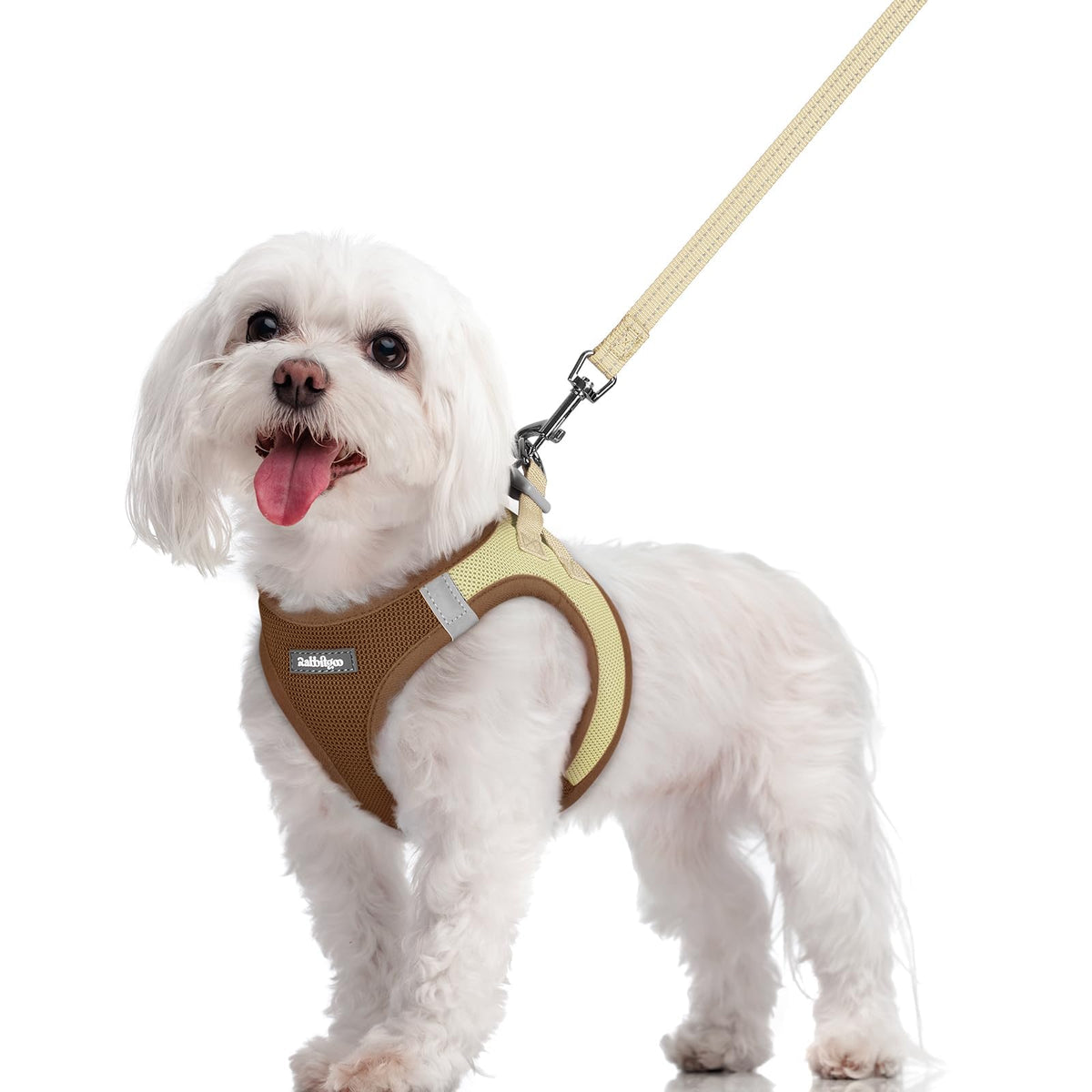 rabbitgoo dog harness and leash set shown together from the front