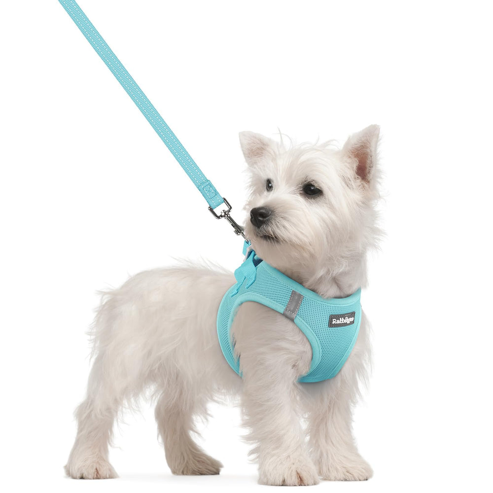 rabbitgoo dog harness and leash set shown together from the front.