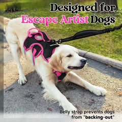 rabbitgoo dog harness padded lift handle shown in close-up.