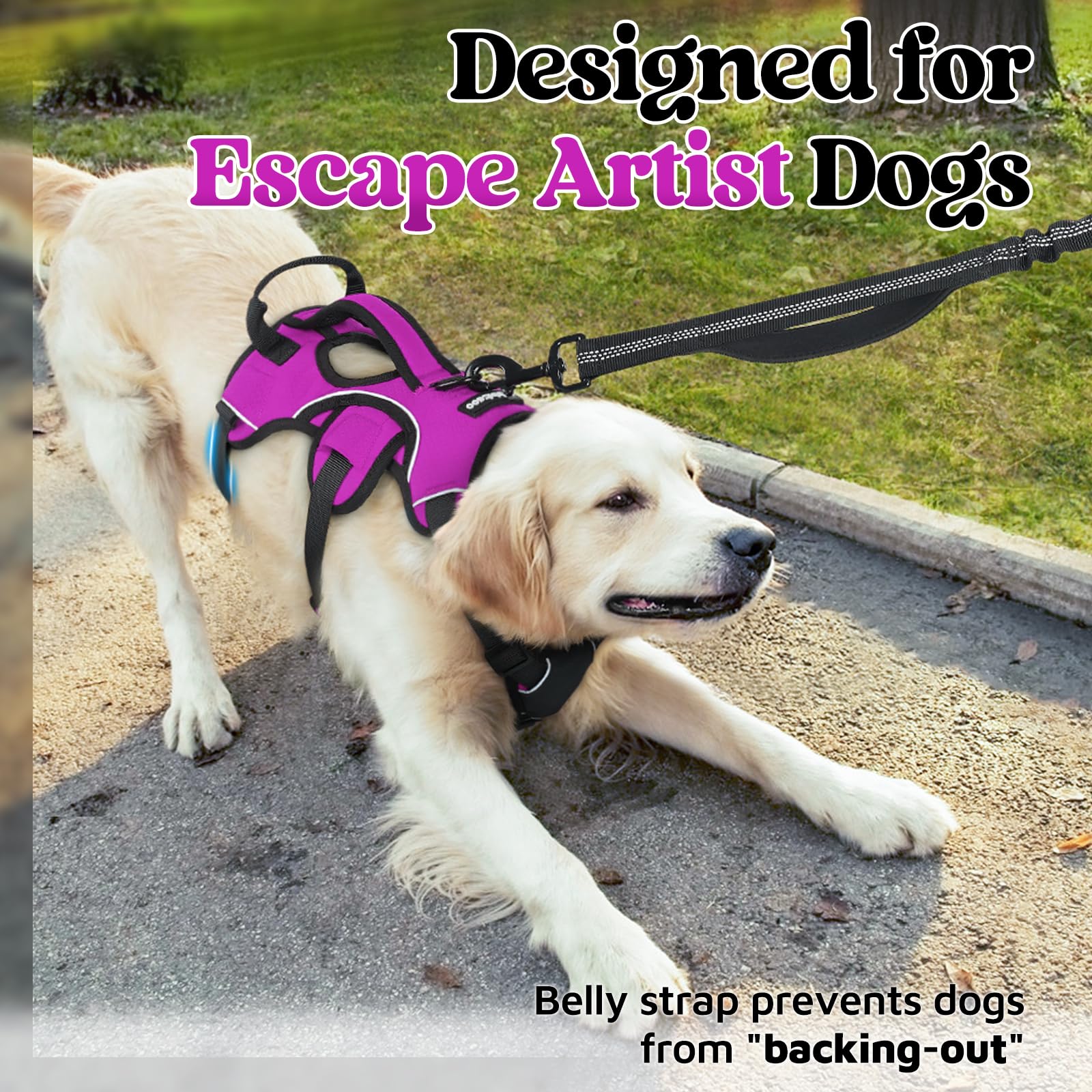 rabbitgoo dog harness with a close view of the padded lift handle.
