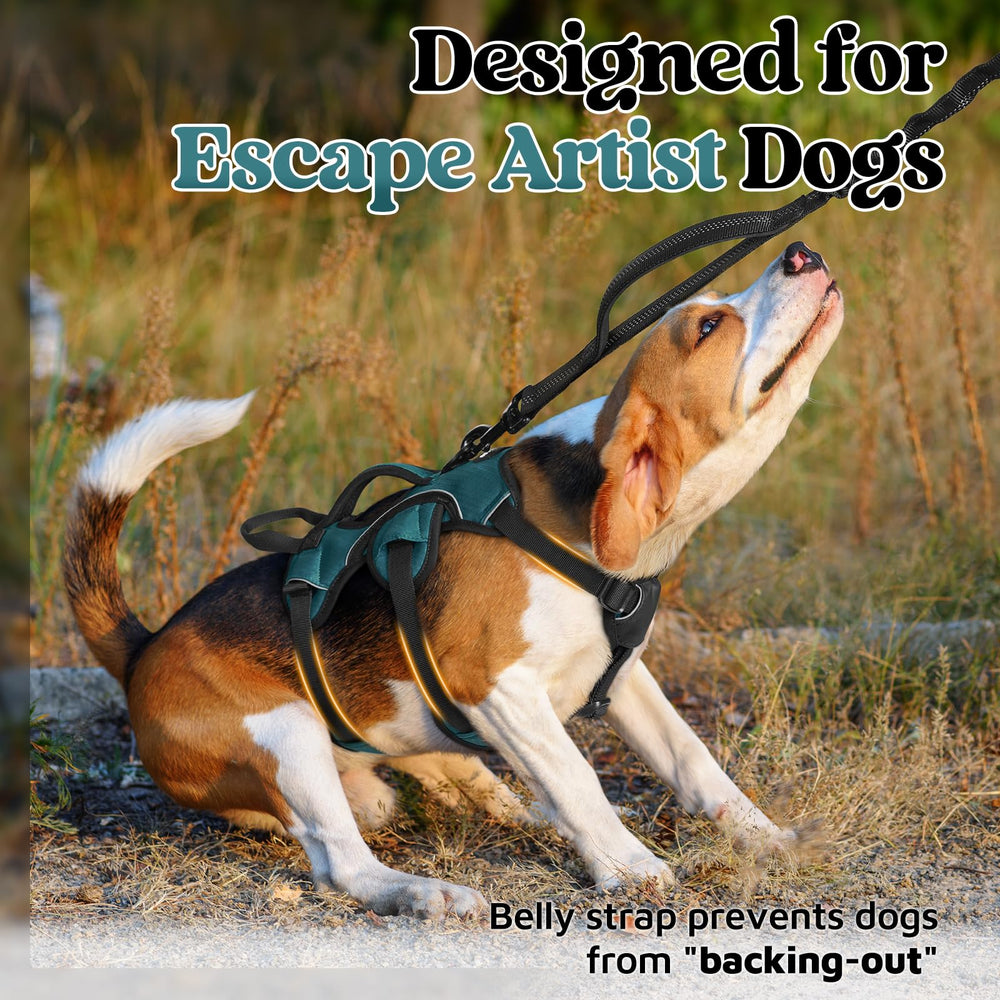 rabbitgoo dog harness padded lift handle shown in close-up.